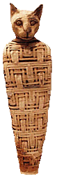 Mummified cat