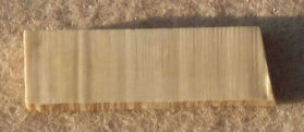 Piece of mammoth tusk