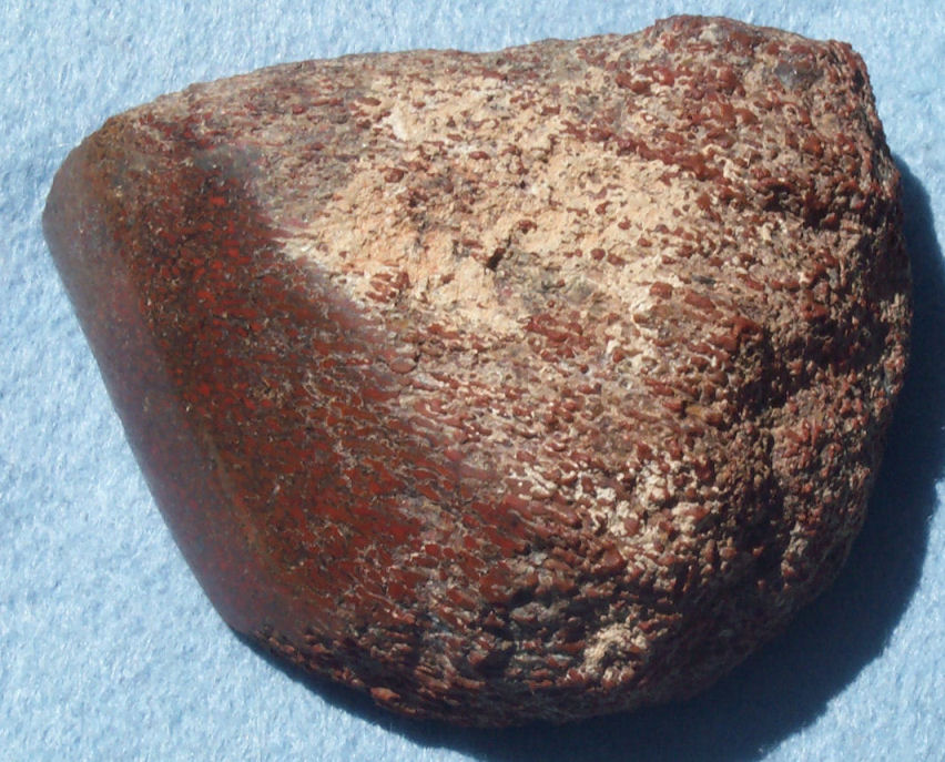 Dinosaur bone