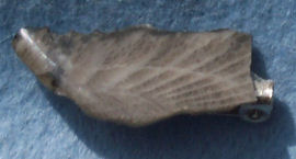 Frosterley Marble