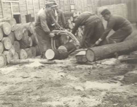 Tree trunks being cut to make staves