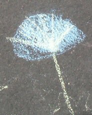 Street Art