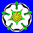 White rose of York
