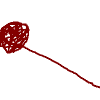Slip knot