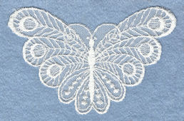 Embroidered lace