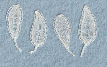 Single Honiton lace motif