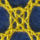 pic of lace