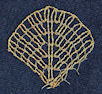 Picture of lace