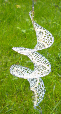 Picture of lace
