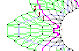 Pattern of lace