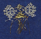 Picture of lace