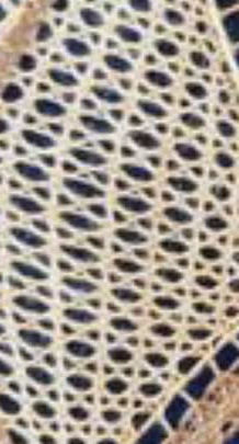 Picture of lace