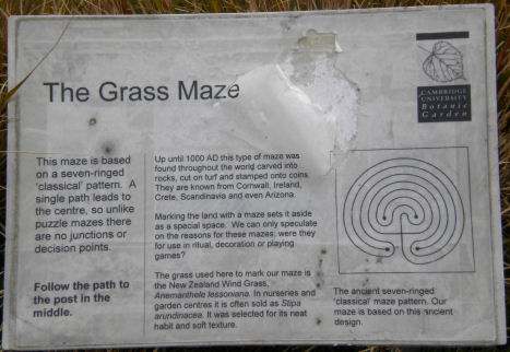 Grass Maze in Cambridge Botanical Gardens