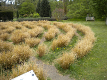 Grass Maze in Cambridge Botanical Gardens