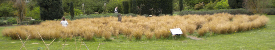 Grass Maze in Cambridge Botanical Gardens