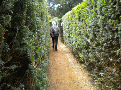 Bridge End maze in Saffron Walden