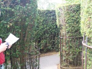 Hampton Court maze