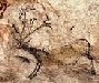 Cave painting