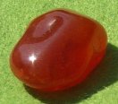 Cornelian