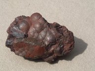 Red Hematite