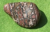 Leopard skin agate