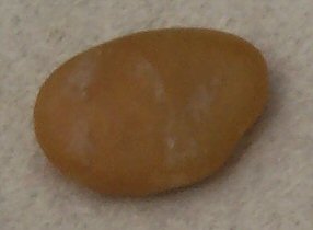 Cornelian