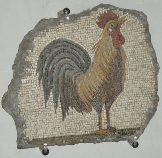Cockerel mosaic in the Burrell Collection, in Glasgow