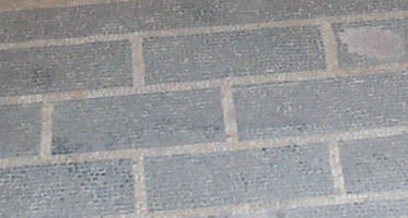 Fishbourne Roman Palace mosaic photo