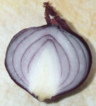 cut onion