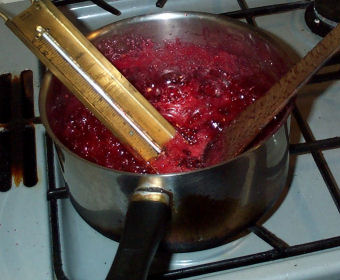 Raspberry Jam