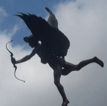 Cupid