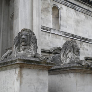 Lions outside the Fitzwilliam Museum