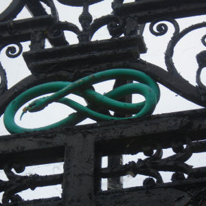 Snake on Magdalene College front gate