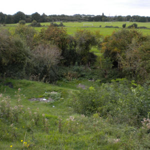 View from Rifle Butts on Coldhams Common