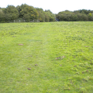 Coldhams Common