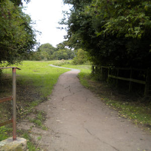Coldhams Common
