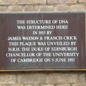 Plaque inside New Museums Site about discovery of DNA