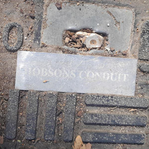 Hobsons Conduit on Parkers Piece