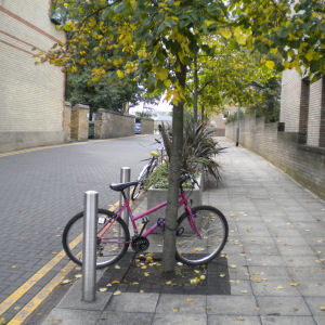 Path to Cambridge railway station