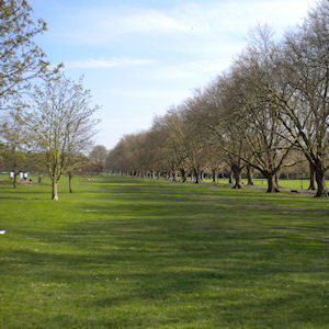 Jesus Green