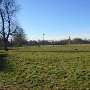 Midsummer Common