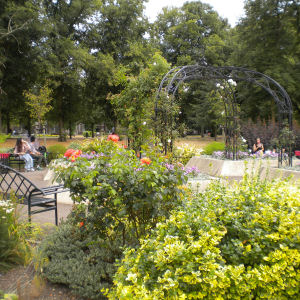 Diana Rose Garden