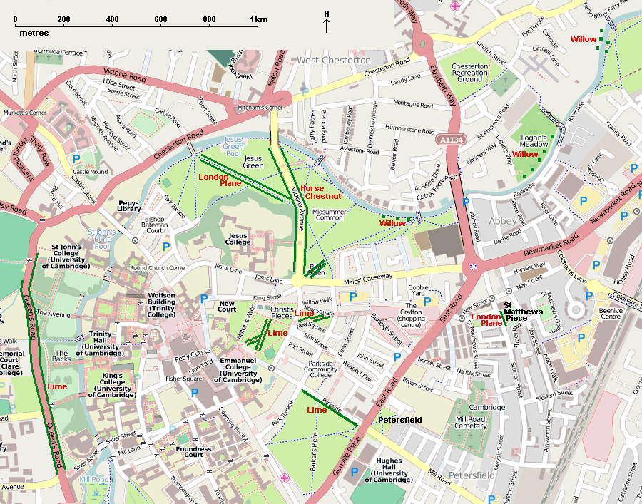 Map of some tree-lined avenues