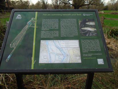 Fish bypass