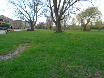 Laundress Green