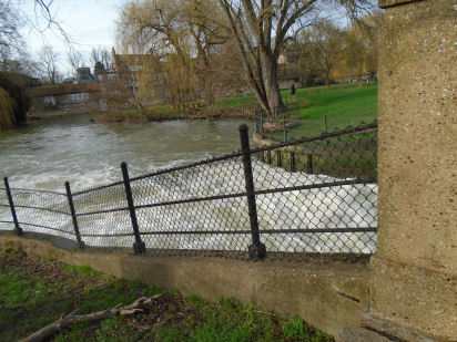 Weir