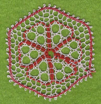 Photo of lace